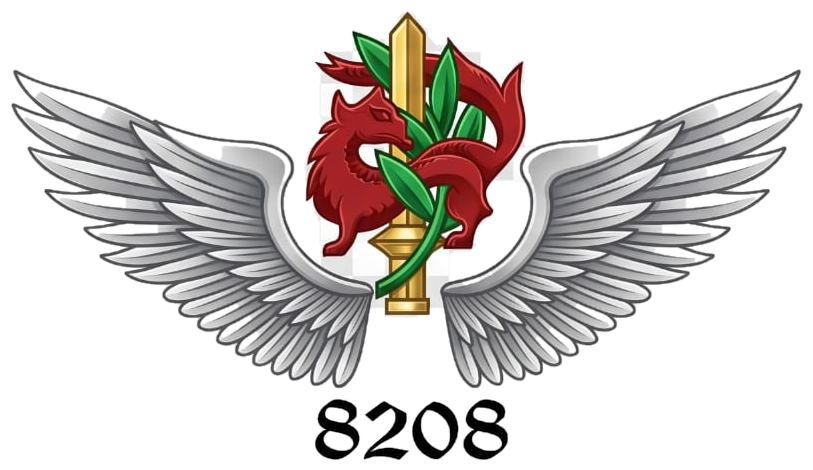 לוגו גדוד 8208